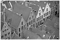 Rooftops. Bruges, Belgium (black and white)