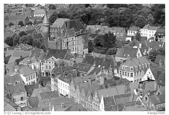 Houses and castle. Bruges, Belgium (black and white)