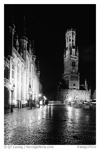 Provinciall Hof and belfry at night. Bruges, Belgium (black and white)