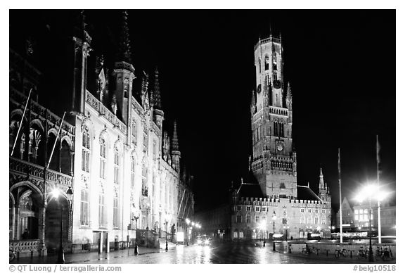 Provinciall Hof and belfort at night. Bruges, Belgium (black and white)