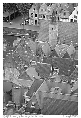 Rooftops. Bruges, Belgium (black and white)