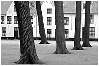 Courtyard of the Begijnhof. Bruges, Belgium ( black and white)