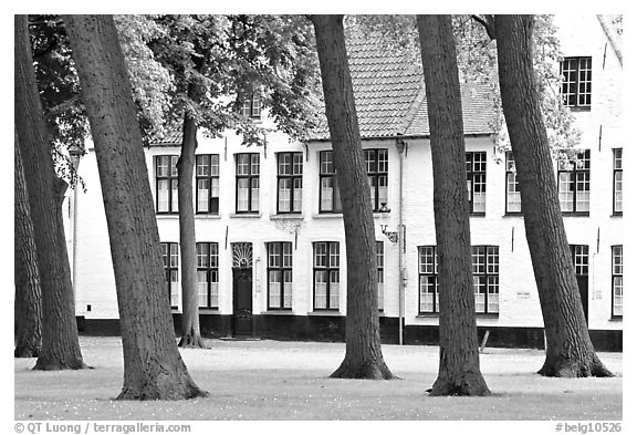 Grassy square in Beguinage (Begijnhof). Bruges, Belgium