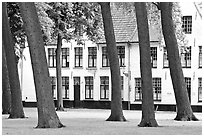 Grassy square in Beguinage (Begijnhof). Bruges, Belgium ( black and white)