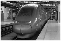 High speed train. Brussels, Belgium (black and white)