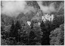 Hohenschwangau castle. Germany ( black and white)