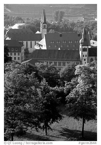 View from Festung Marienberg (citadel). Wurzburg, Bavaria, Germany (black and white)