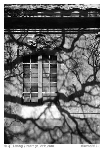 Wall and tree shadaw, royal residence of Drottningholm. Sweden (black and white)