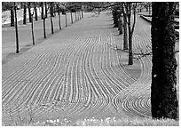 Raked sand in the garden of the 12th century church in Gamla Uppsala. Uppland, Sweden ( black and white)