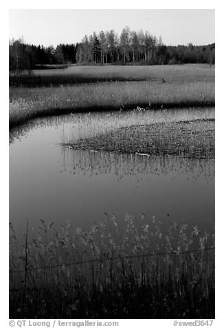 Pond. Gotaland, Sweden