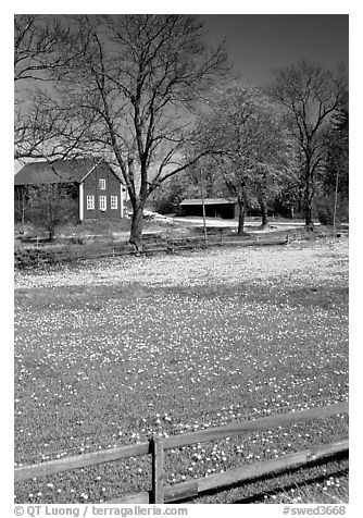 Pasture and farm. Gotaland, Sweden (black and white)