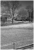 Pasture and farm. Gotaland, Sweden ( black and white)