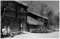 Traditional house with roof covered in grass, Skansen. Stockholm, Sweden ( black and white)