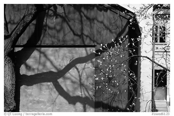 Detail of houses. Stockholm, Sweden (black and white)