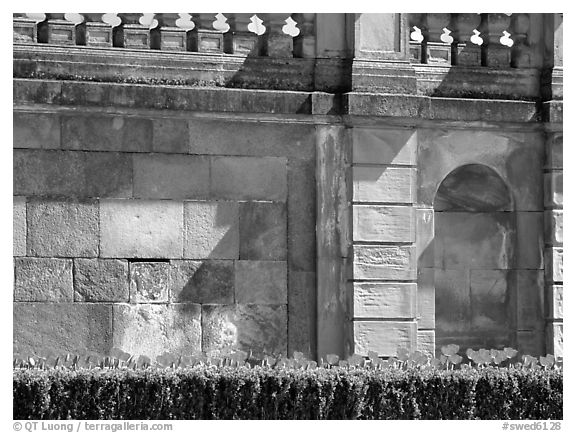 Tulips and wall, parks of royal residence of Drottningholm. Sweden