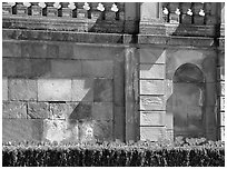 Tulips and wall, parks of royal residence of Drottningholm. Sweden (black and white)