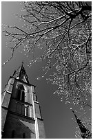 Cathedral in French gothic style, Uppsala. Uppland, Sweden (black and white)