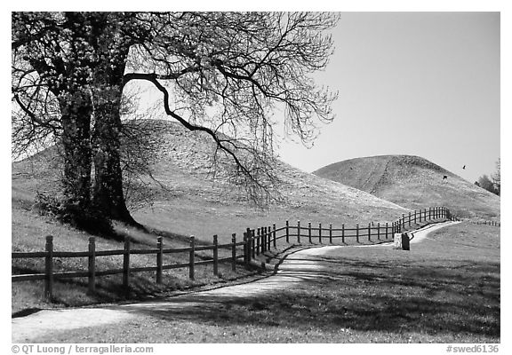 The three great grave mounds at Gamla Uppsala, said to be the howes of legendary pre-Vikings kings. Uppland, Sweden (black and white)