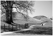 The three great grave mounds at Gamla Uppsala, said to be the howes of legendary pre-Vikings kings. Uppland, Sweden (black and white)