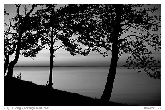 Trees and sunset on Vattern Lake, Vadstena. Gotaland, Sweden (black and white)