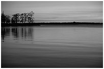 Trees and sunset on Vattern Lake, Vadstena. Gotaland, Sweden ( black and white)