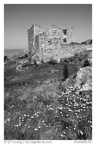 Ruins of the 16th century castle Brahehus near Granna. Gotaland, Sweden