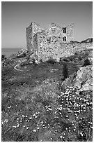 Ruins of the 16th century castle Brahehus near Granna. Gotaland, Sweden ( black and white)