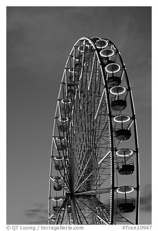 Tuileries Ferris wheel at sunset. Paris, France (black and white)