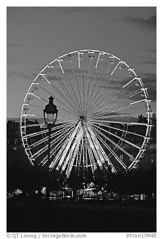Ferris wheel in the jardin des Tuileries at sunset. Paris, France (black and white)