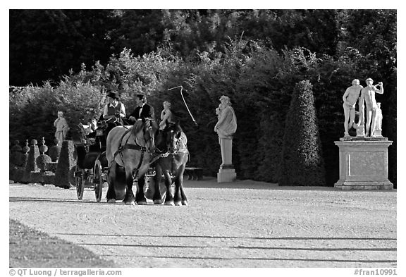 Horse carriage in an alley of the Versailles palace gardens. France (black and white)