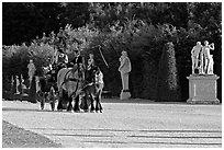 Horse carriage in an alley of the Versailles palace gardens. France (black and white)