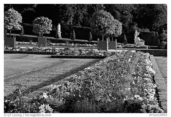 Flowers in formal gardens of the Versailles palace. France (black and white)