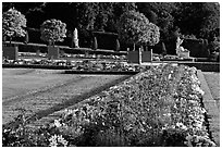 Flowers in formal gardens of the Versailles palace. France (black and white)