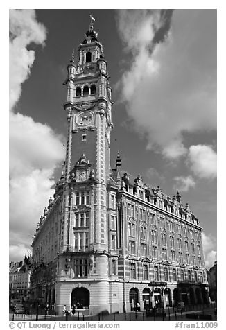 Belfries, Lille. France (black and white)