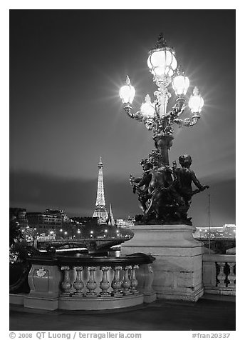 Lamps on Pont Alexandre III and Eiffel Tower at night. Paris, France (black and white)