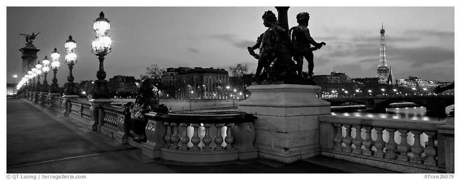 Alexander III bridge and Eiffel tower at dusk. Paris, France (black and white)