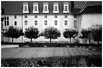 Abbaye de Frontevrault (Abbey of Frontevrault). Loire Valley, France (black and white)