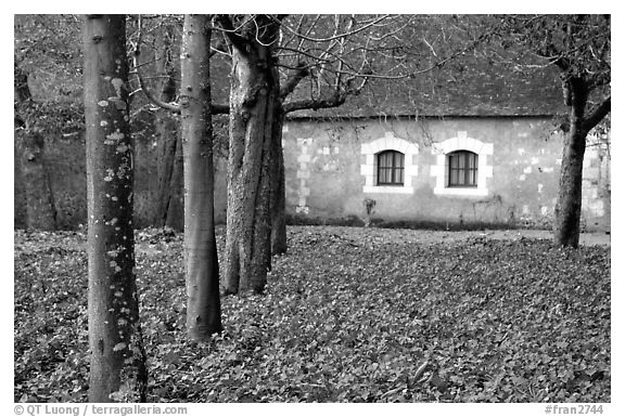 Estate of Chenonceaux chateau. Loire Valley, France (black and white)