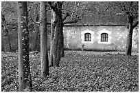 Estate of Chenonceaux chateau. Loire Valley, France ( black and white)