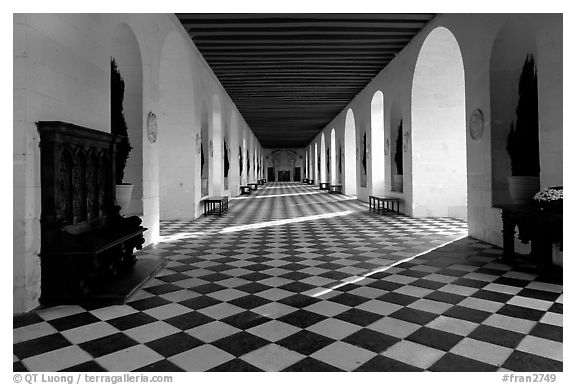 Gallery hall in the Chenonceaux chateau. Loire Valley, France (black and white)