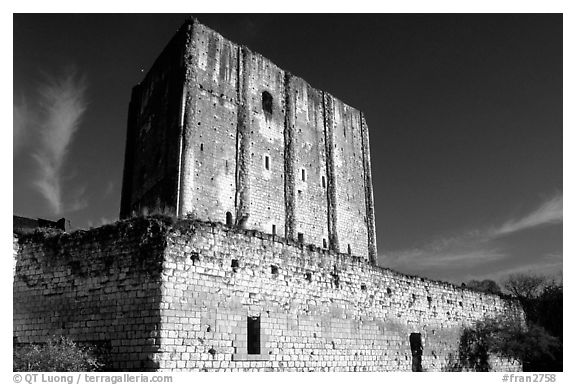 Medieval dungeon of the Loches castle. Loire Valley, France