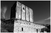 Medieval dungeon of the Loches castle. Loire Valley, France (black and white)