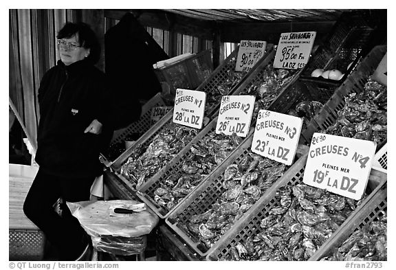 Stand with a variety of oysters in Cancale. Brittany, France (black and white)