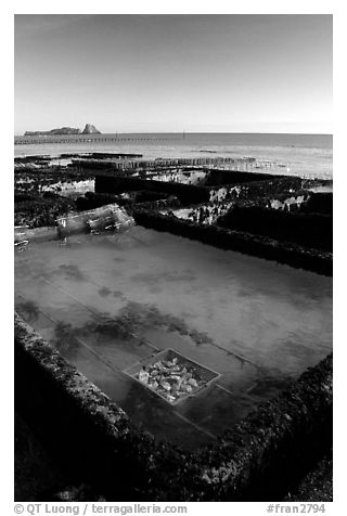 Oyester cages in Cancale. Brittany, France (black and white)