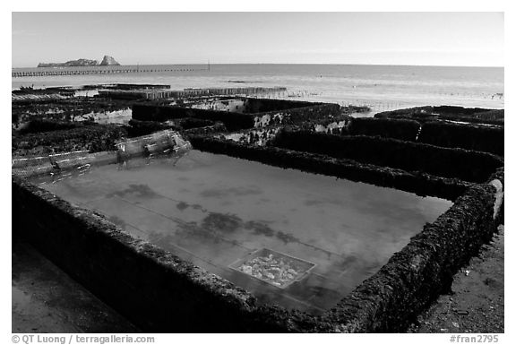 Oyester cages in Cancale. Brittany, France (black and white)