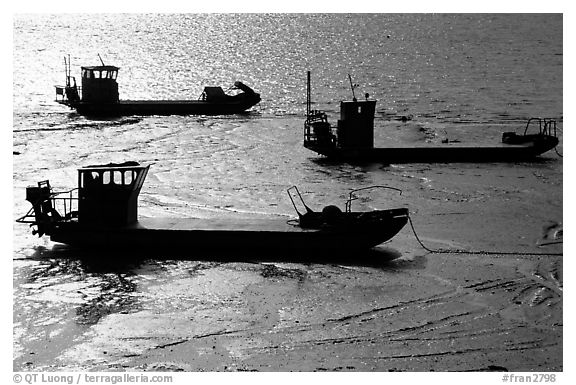 Flat-bottom fishing boats at low tide, Cancale. Brittany, France