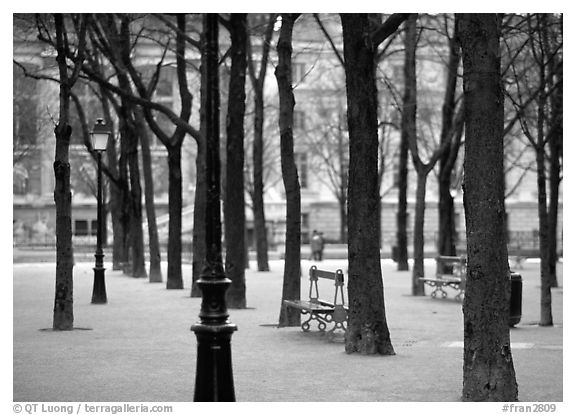 Park in winter, place Dauphine, ile de la Cite. Paris, France