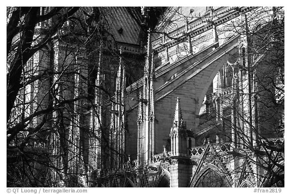 Notre Dame Cathedral buttress detail. Paris, France (black and white)