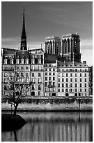Saint-Louis island and Notre Dame. Paris, France (black and white)