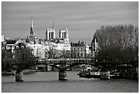 Pont des Arts and ile de la Cite. Paris, France ( black and white)